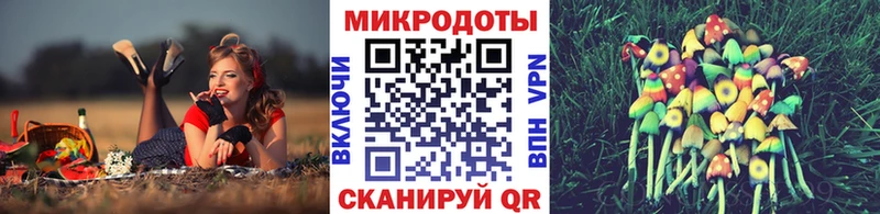 Купить где  Кушва  Галлюциногенные грибы MAGIC MUSHROOMS 
